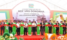 동화기업, 베트남에 亞 최대 MDF(중밀도 섬유판) 공장 준공